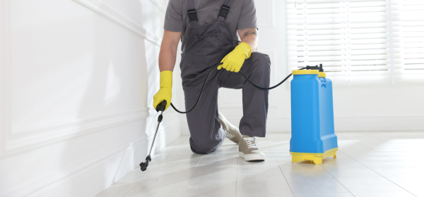 Halawa pest control service